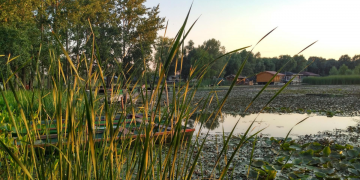 10+1 ok, amiért nem szabad kihagynod a Tisza-tavat
