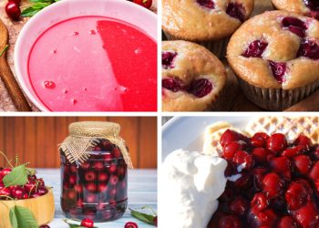 Variációk cseresznyére: 1 gyümölcs, 4 recept