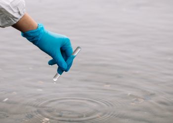 Kerüld el ezeket a strandokat: probléma van a vízminőséggel – cikkajánló: divany.hu